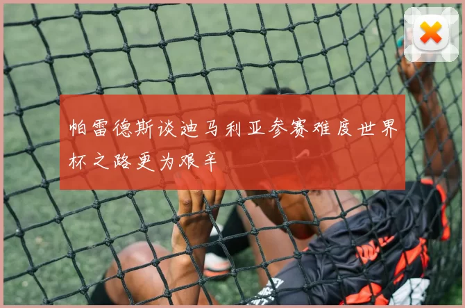 帕雷德斯谈迪马利亚参赛难度世界杯之路更为艰辛